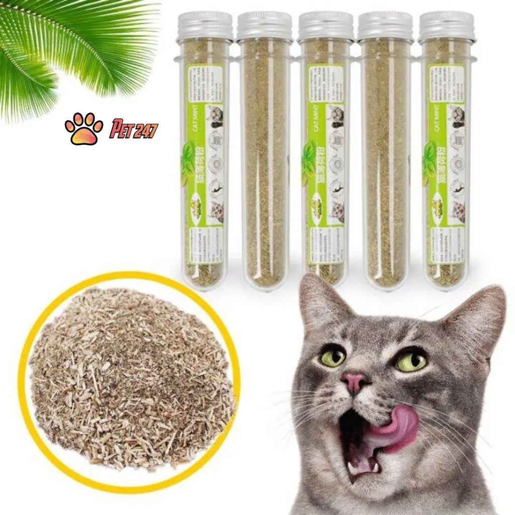 Ống Cỏ Mèo Catnip, Cỏ Bạc Hà Cho Mèo